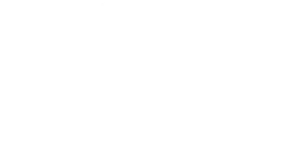 Chiropractic Forsyth MO Forsyth Chiropractic